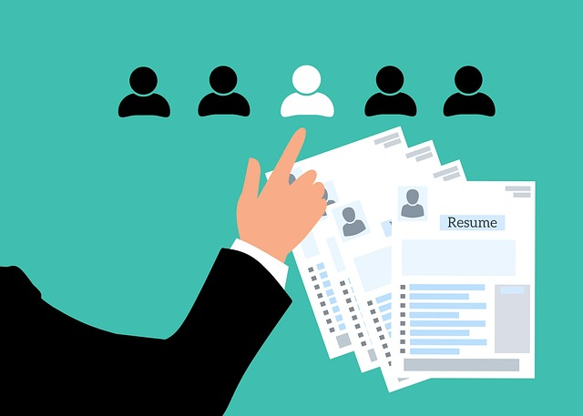 What Should a CV Include to Succeed in Today’s Job Market?